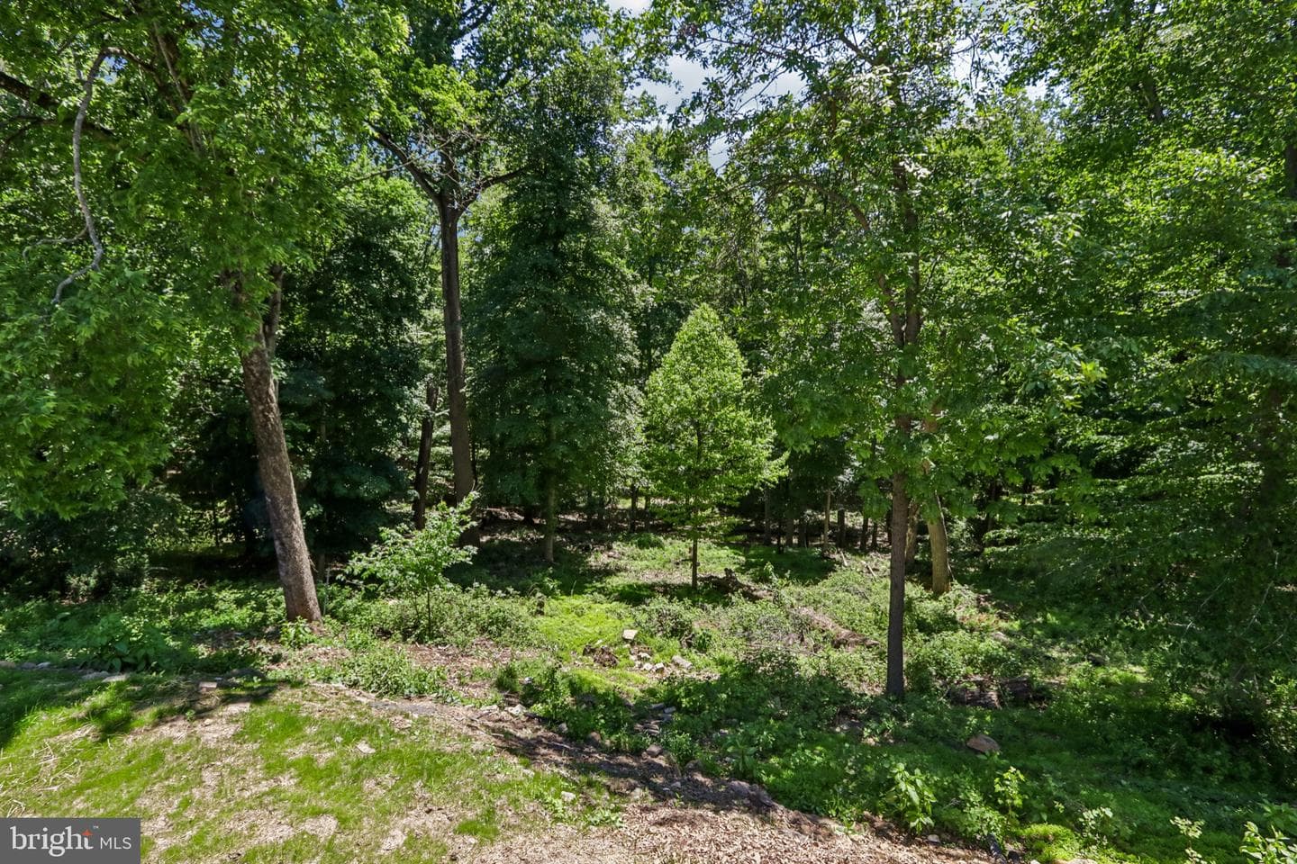444 Rocksville Road photo 70
