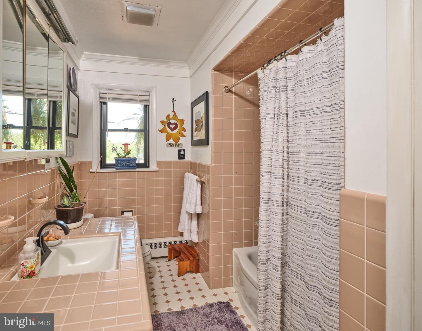 24 Walton Drive photo 14