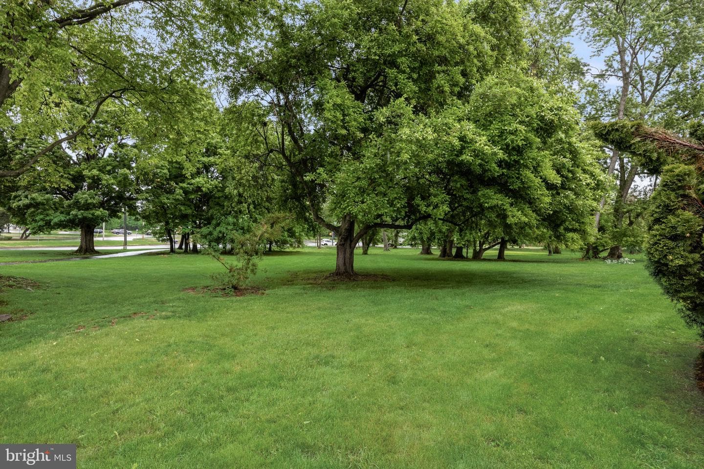 679 Rose Hollow Drive photo 22
