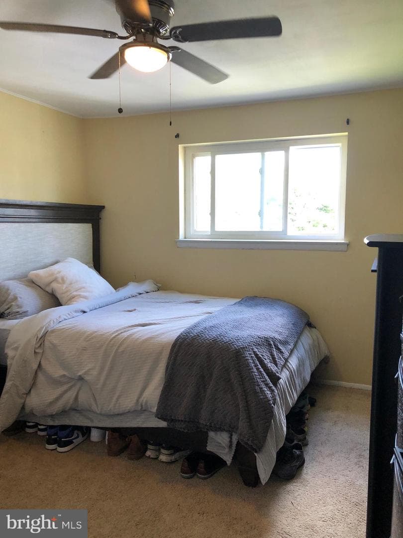 208 Bradley Court photo 37