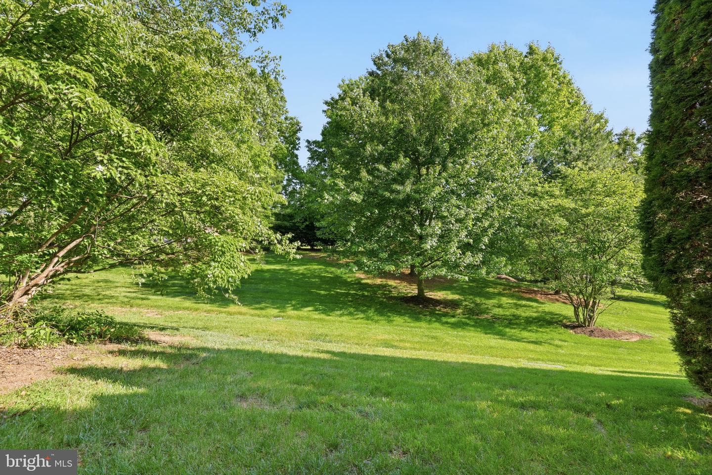 19 Addison Court photo 35