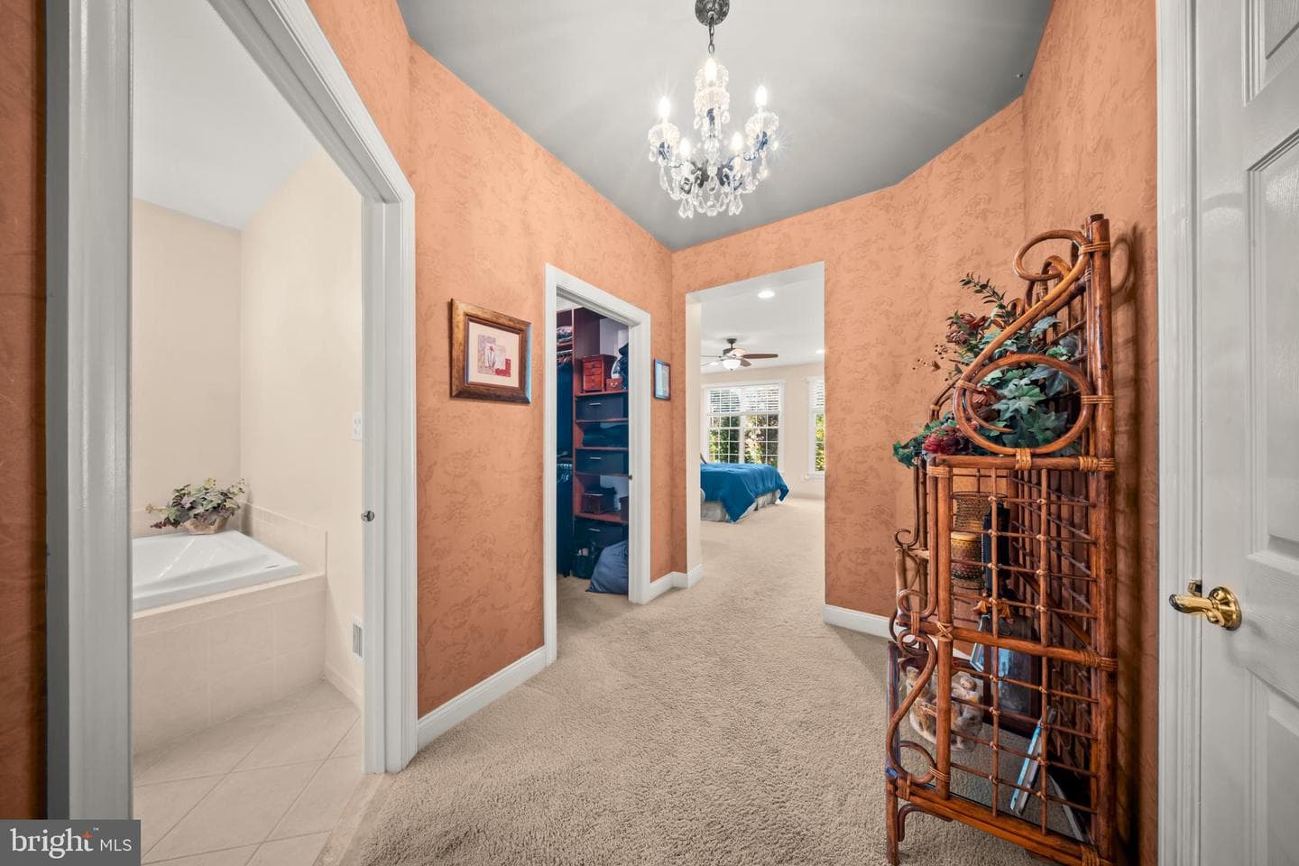 247 Sydney Road photo 22