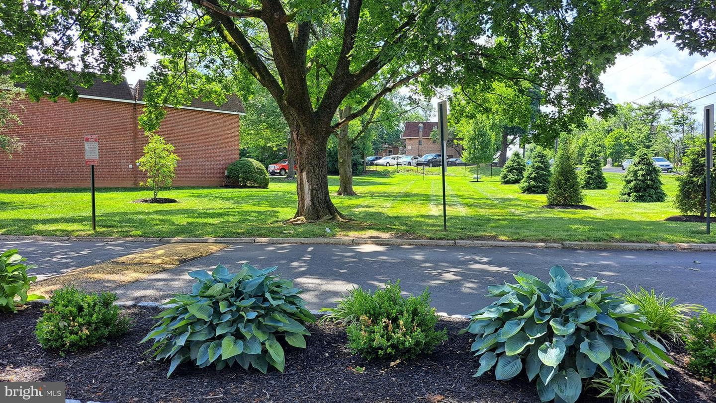 205 Saratoga Court photo 8