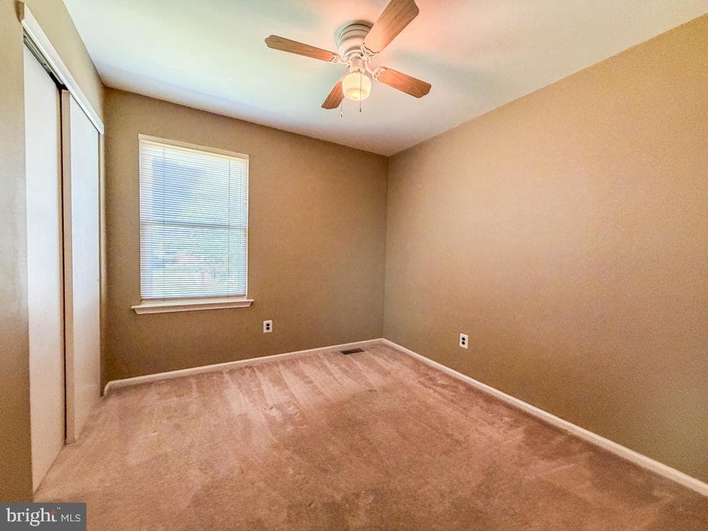 75 Dawson Road photo 29