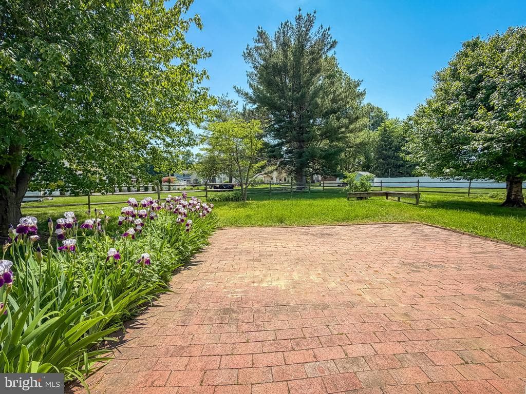 75 Dawson Road photo 40