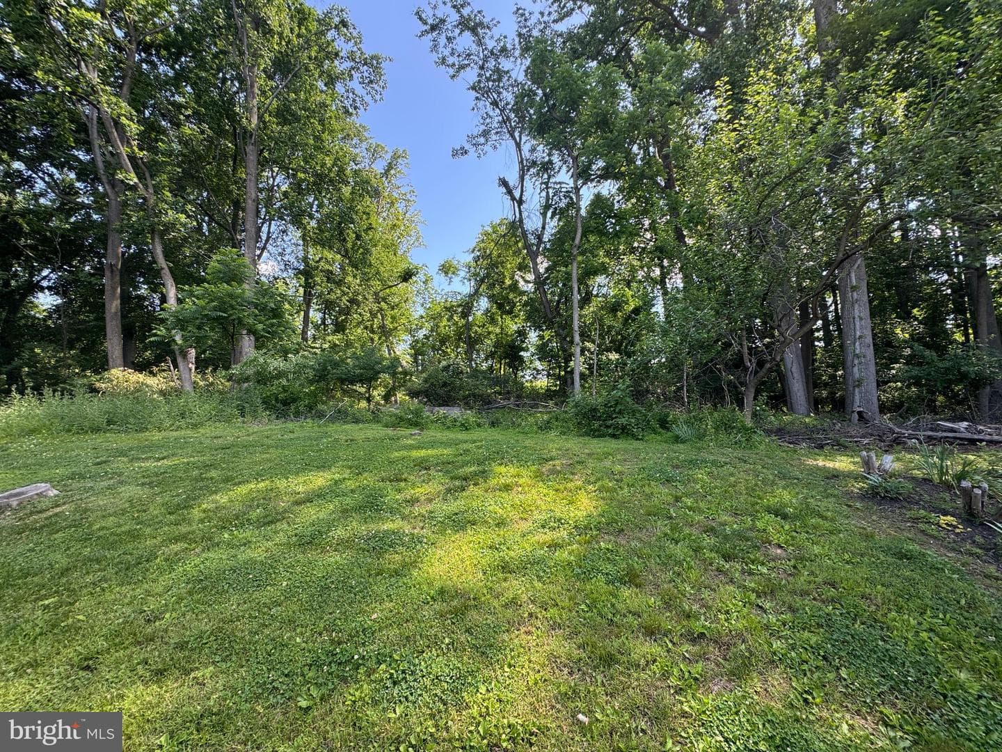 290 Woods Edge Place photo 14