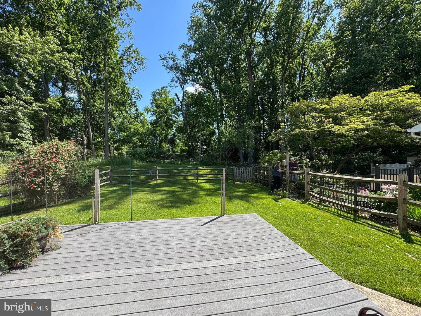 290 Woods Edge Place photo 16