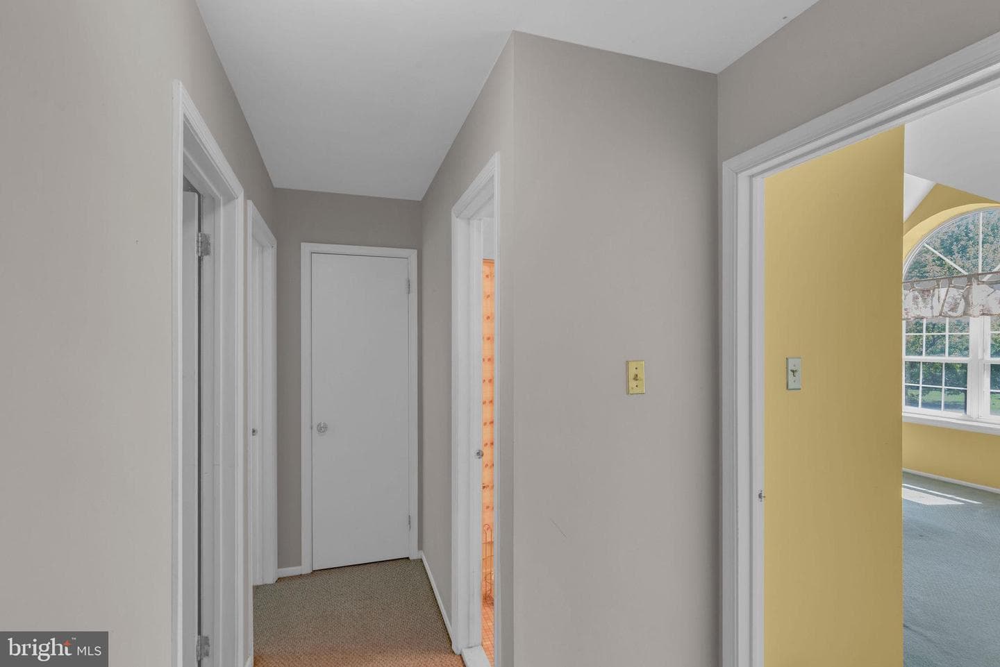 24 Pearl Drive photo 19