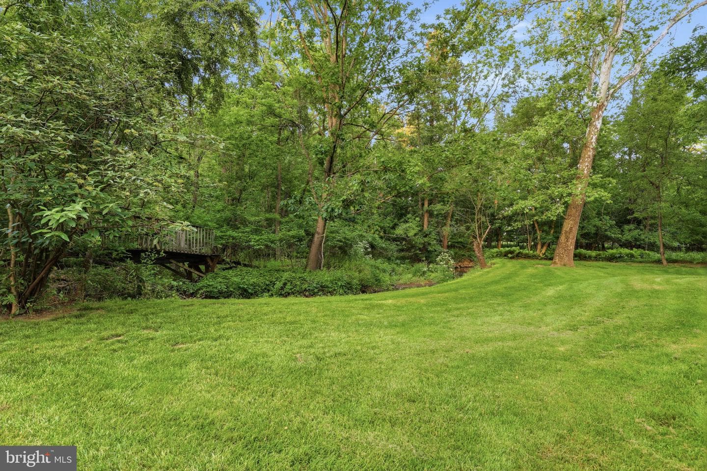 131 Fern Road photo 78