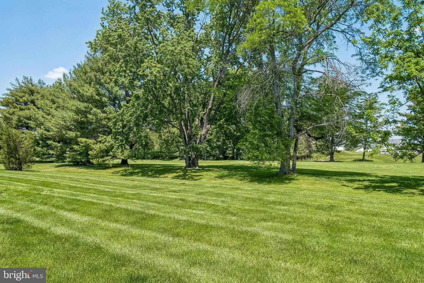 11 Wordsworth Drive photo 117