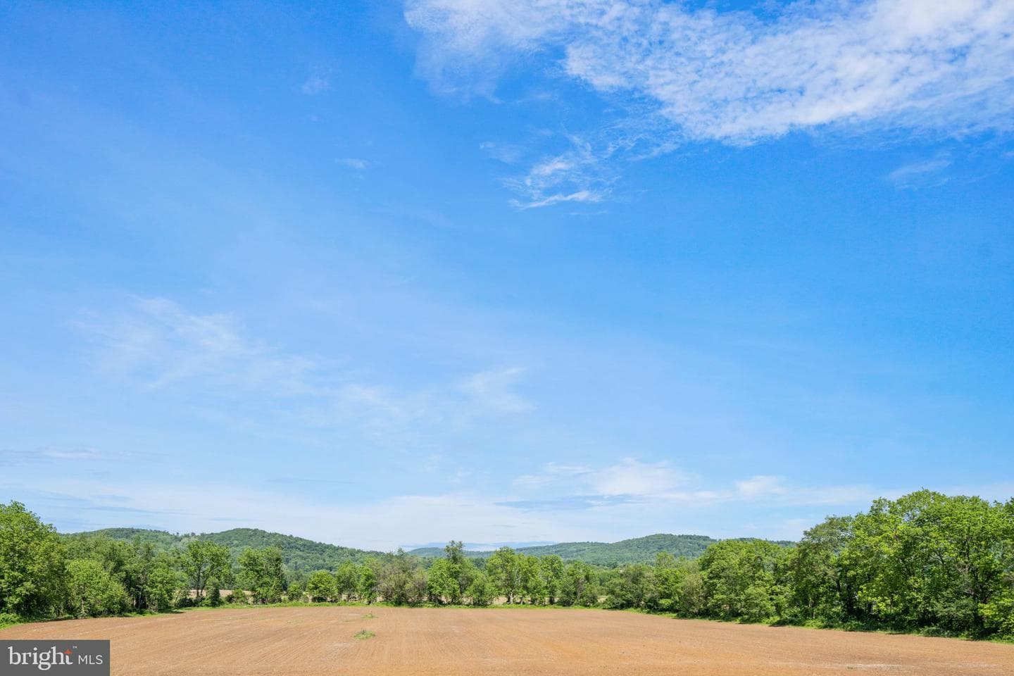 854 Spring Hill Road photo 39