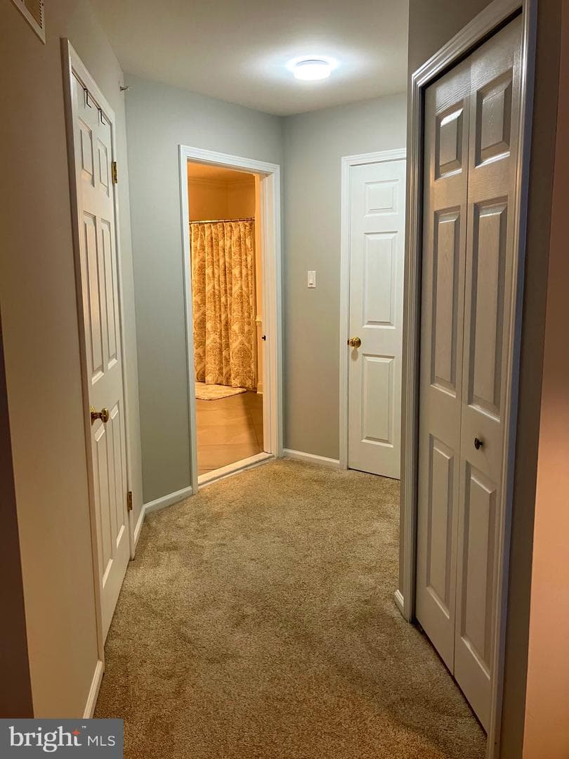204 Carrington Court photo 24