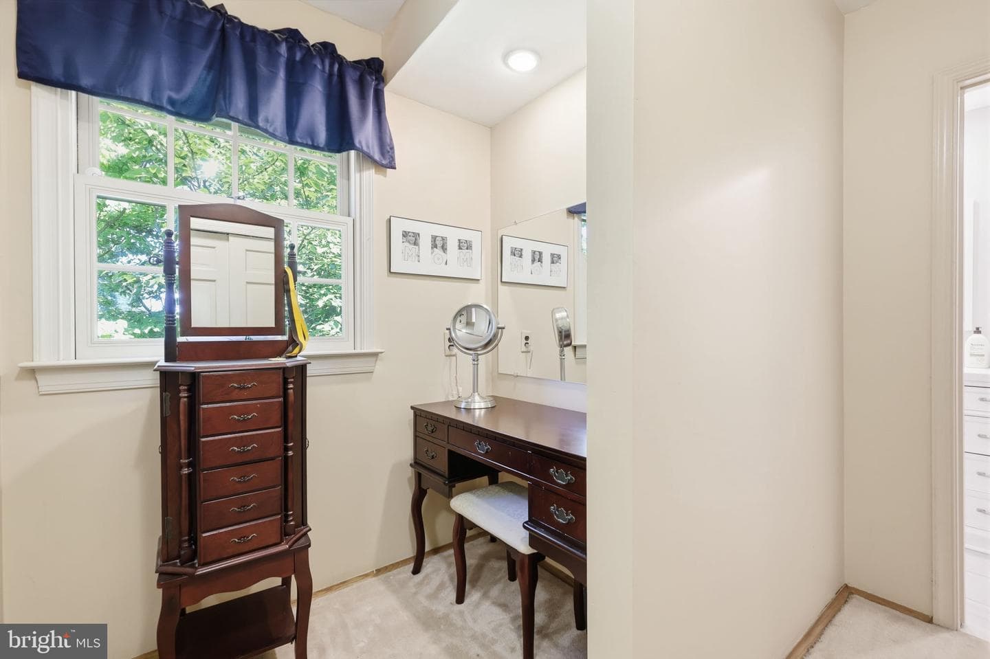 10 Pheasant Drive photo 33