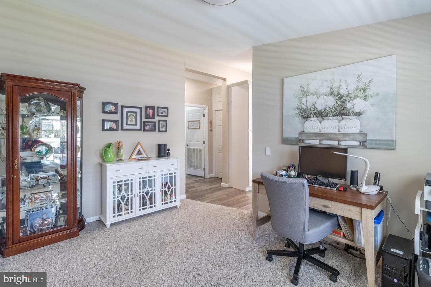 559 Spring Meadow Circle photo 14