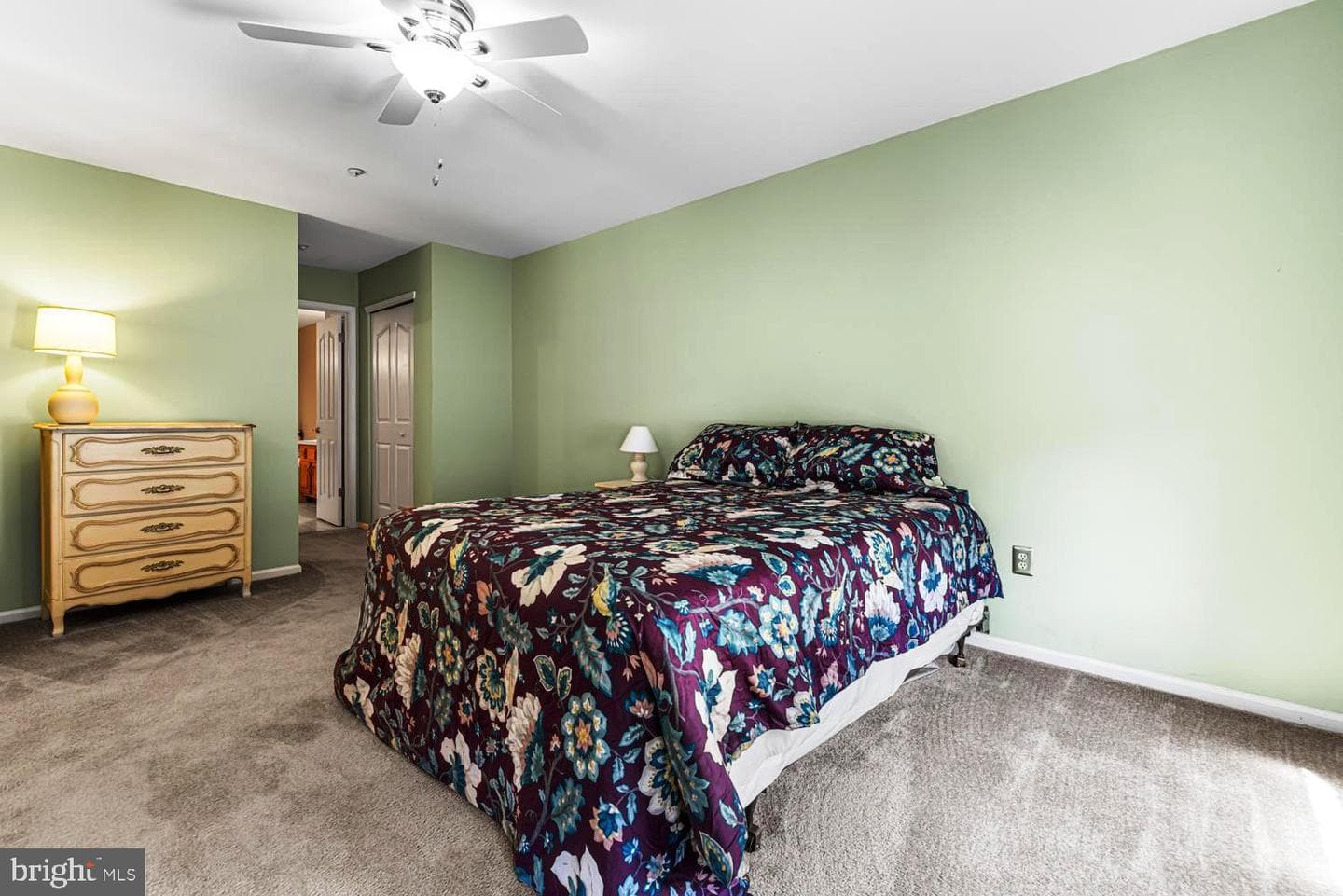 306 Remington Court photo 18