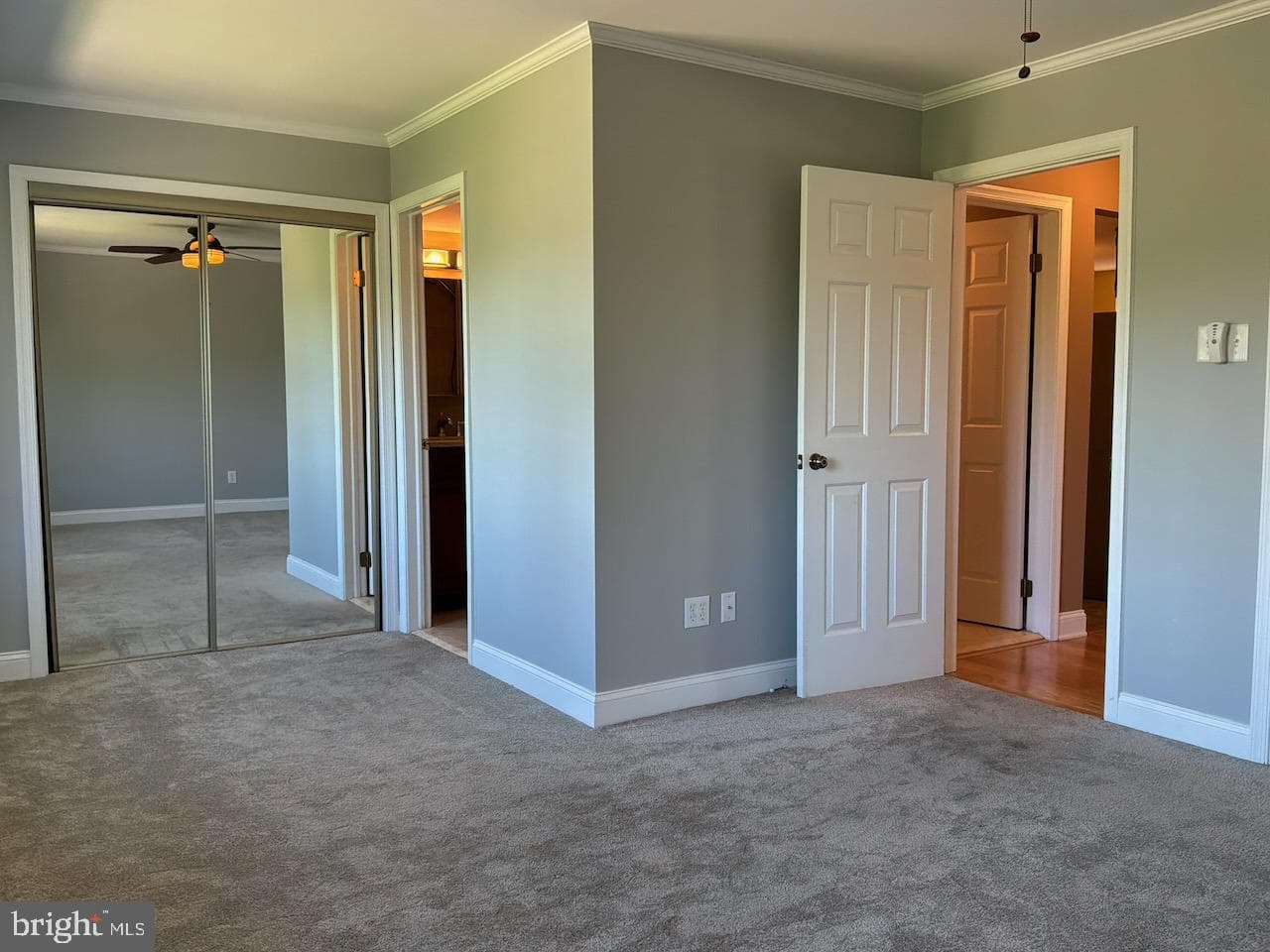 15 Hermitage Drive photo 21