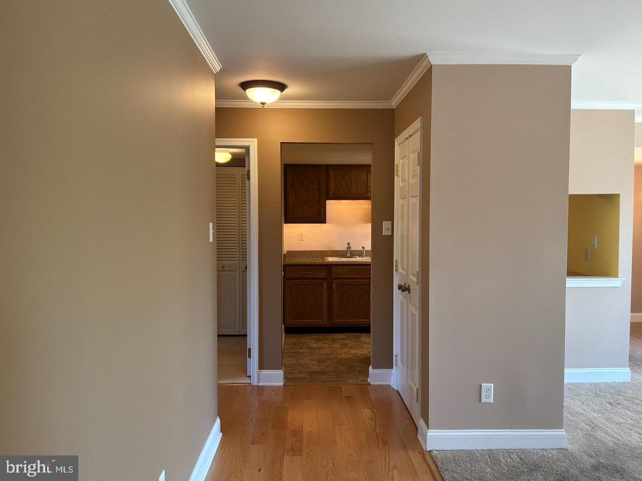 15 Hermitage Drive photo 5
