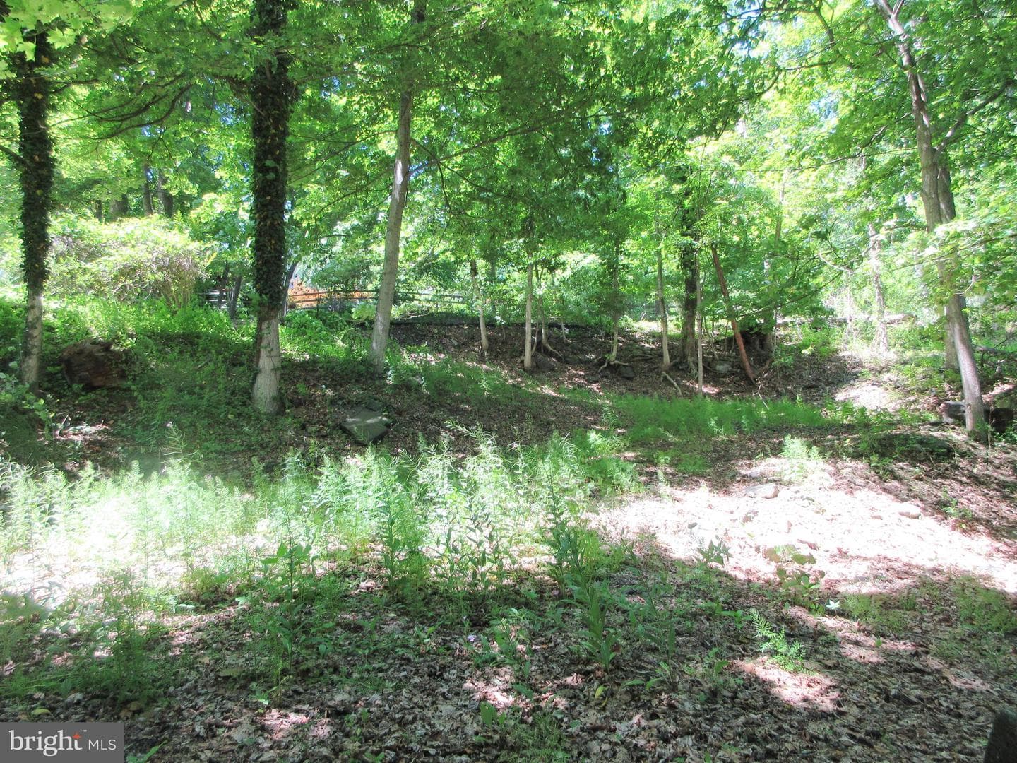 4830 River photo 30