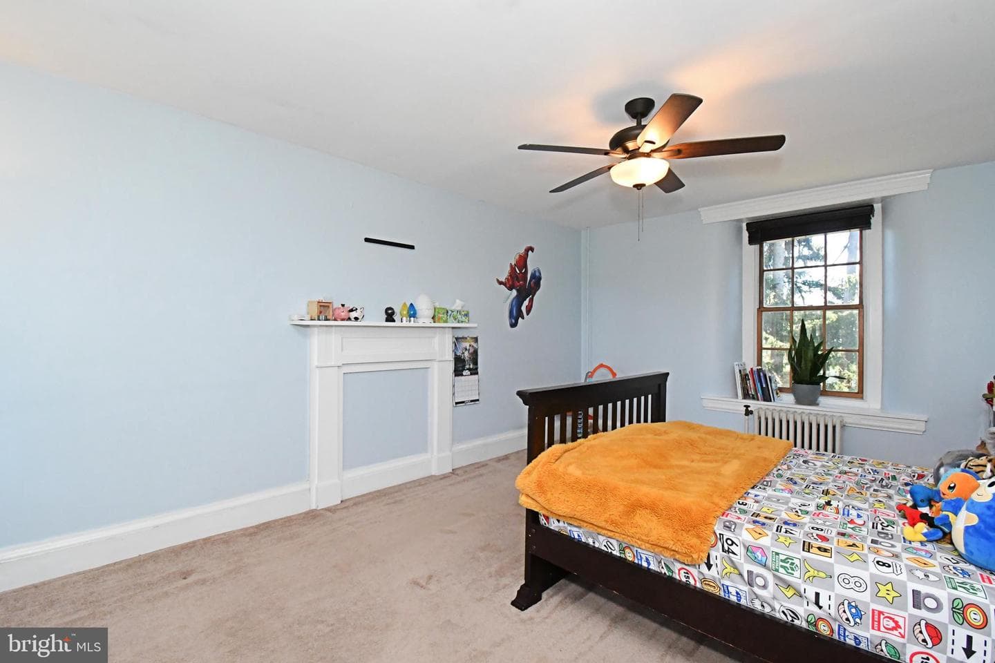 381 Holland Road photo 21