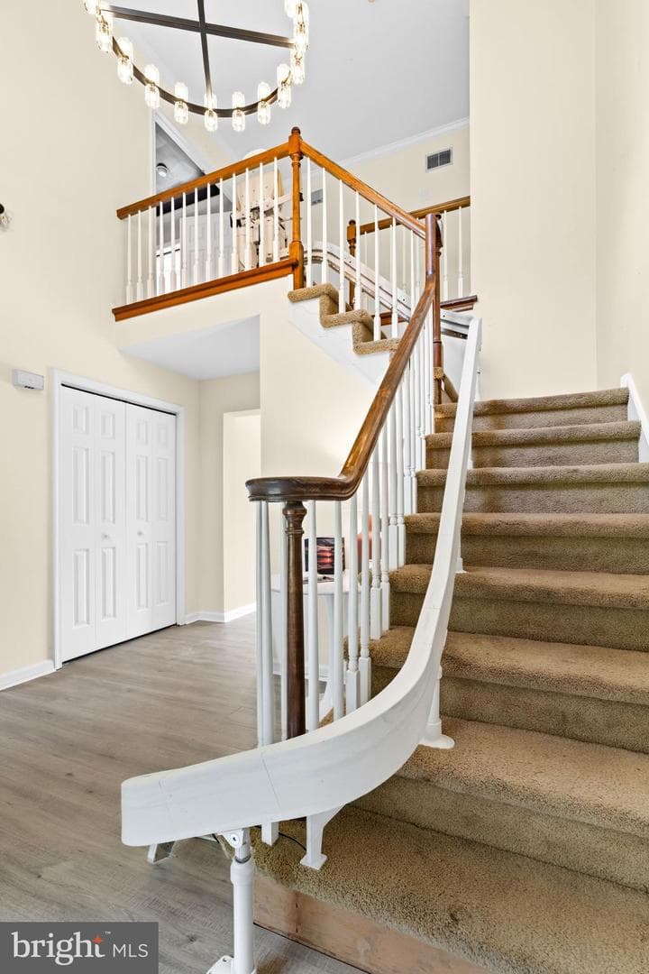 1400 Buck Hill Drive photo 20