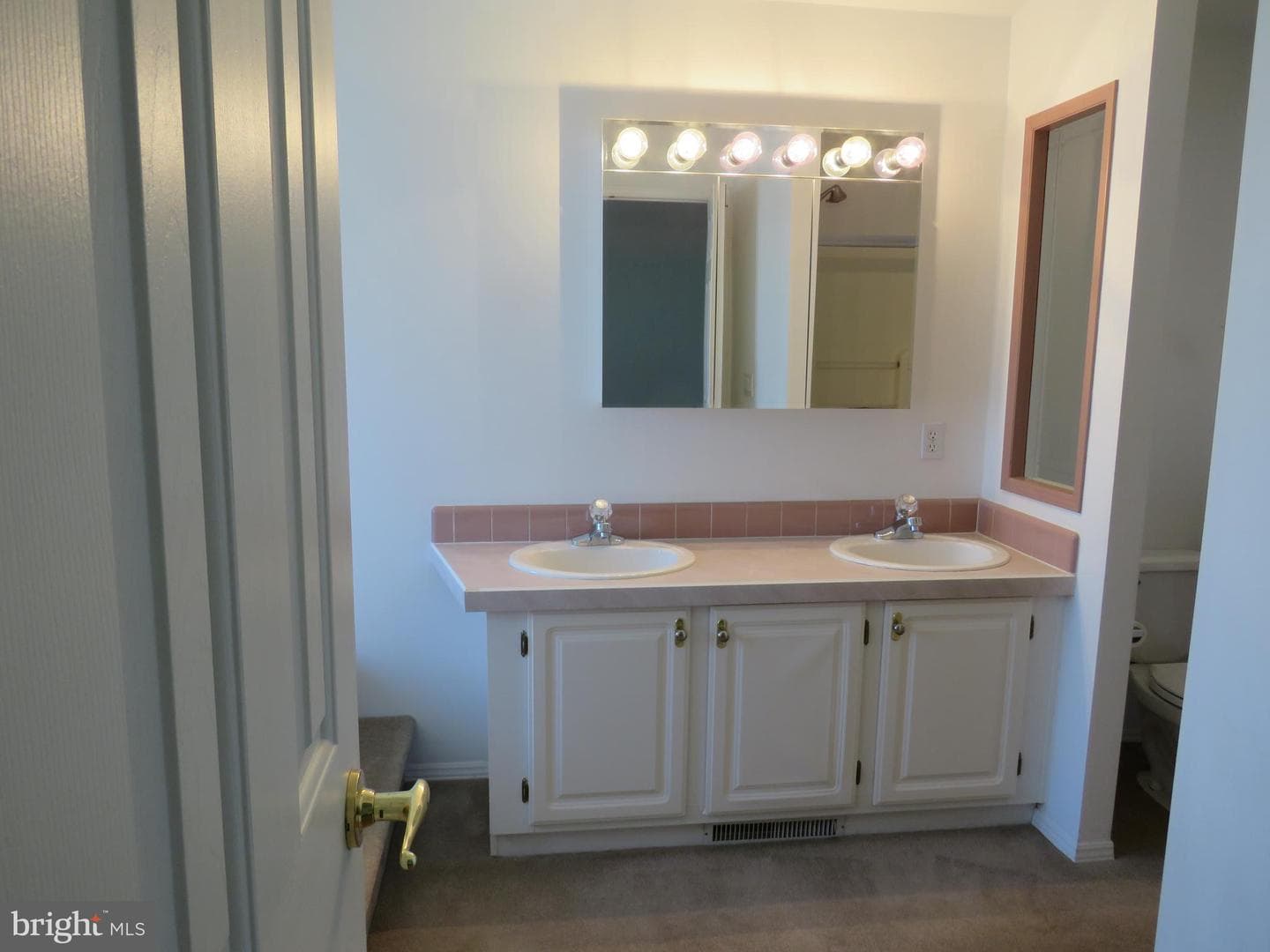 342 Spring Meadow Circle photo 26