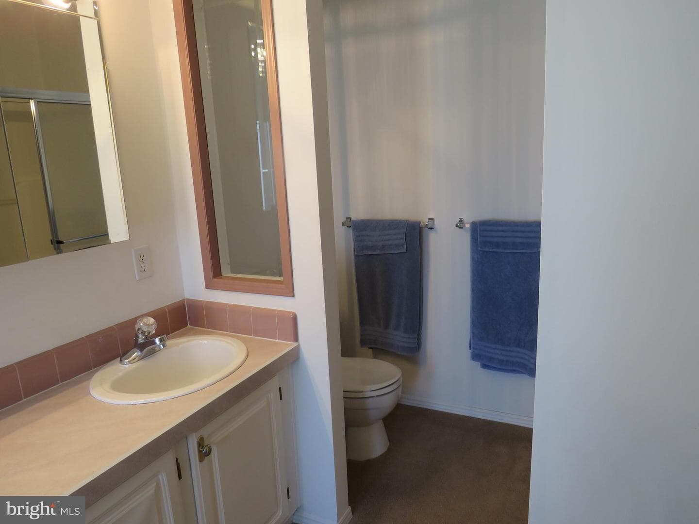 342 Spring Meadow Circle photo 28