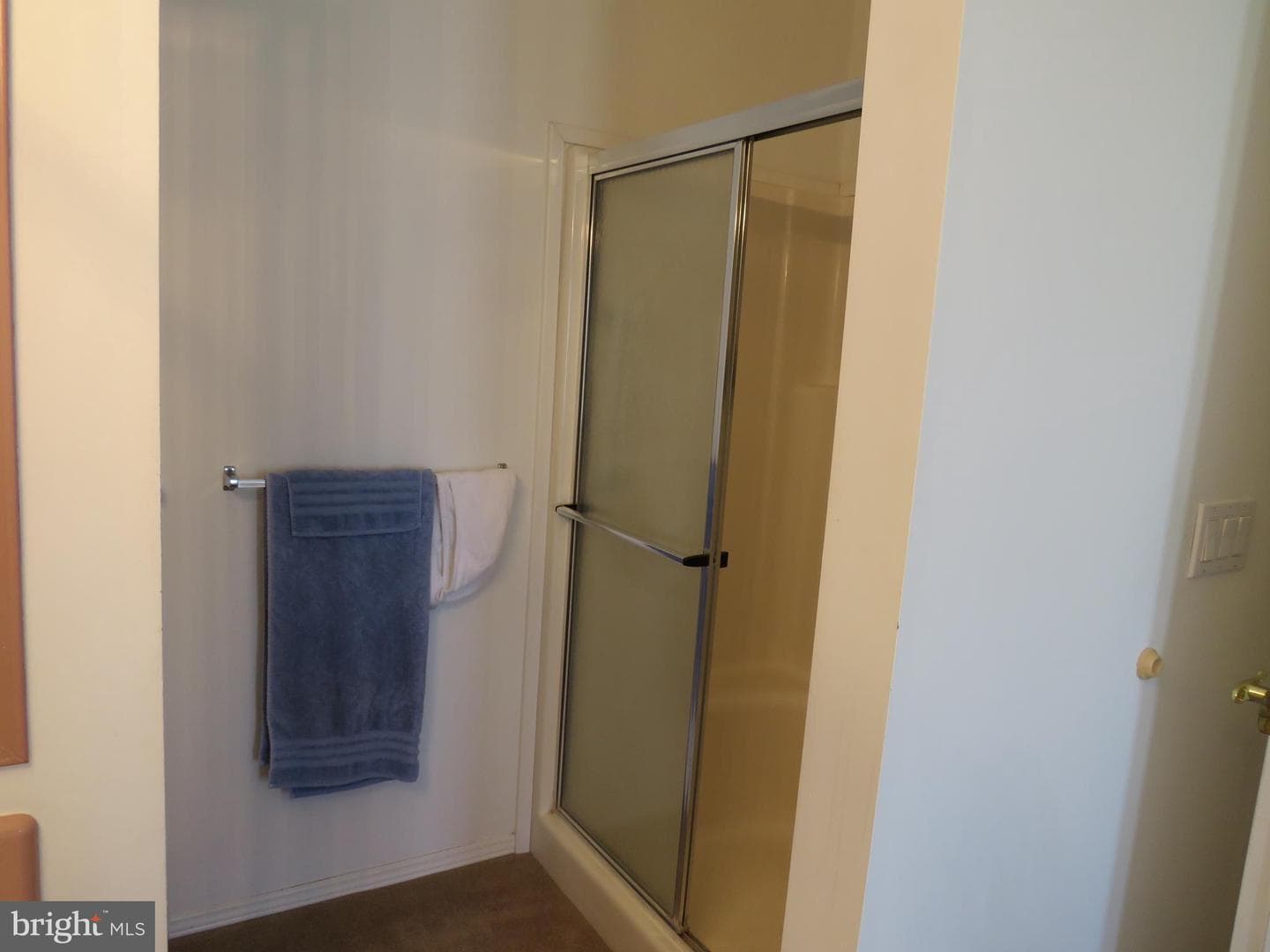 342 Spring Meadow Circle photo 29