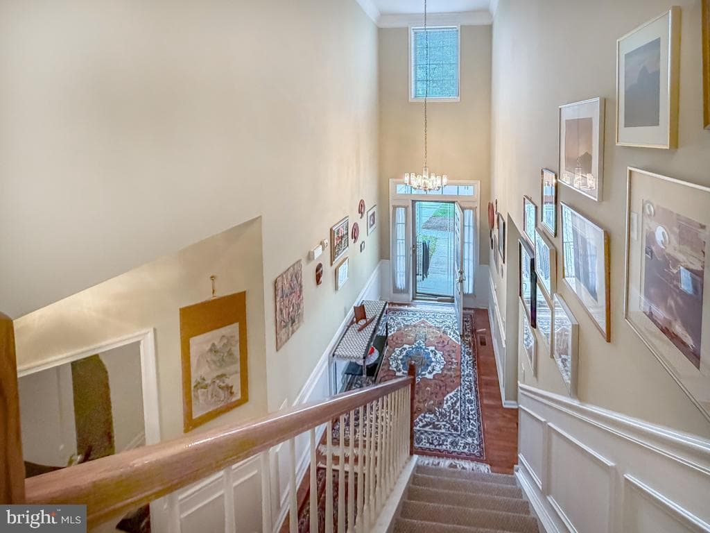 40 Betts Drive photo 34