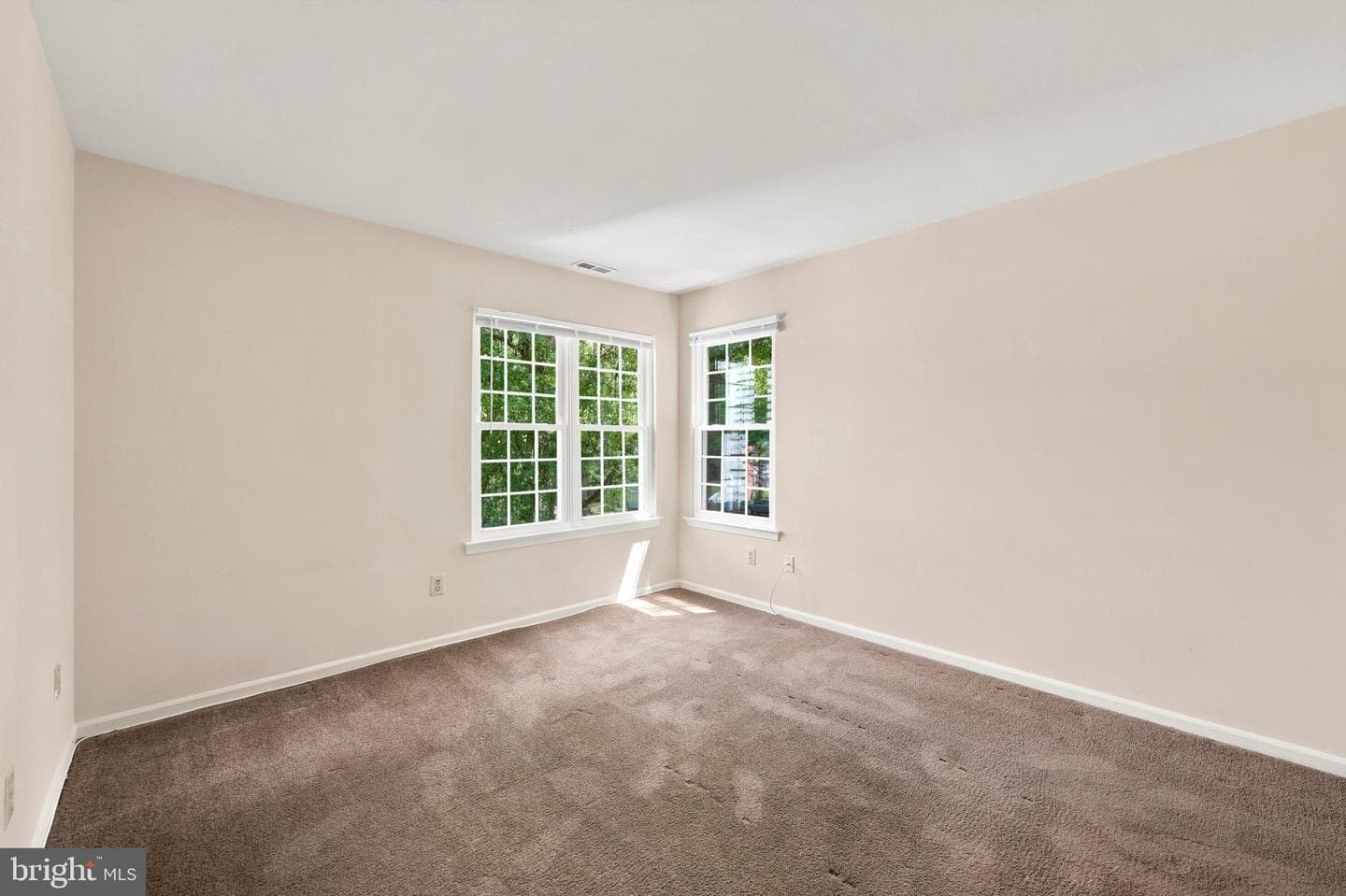 502 Diamond Drive photo 7