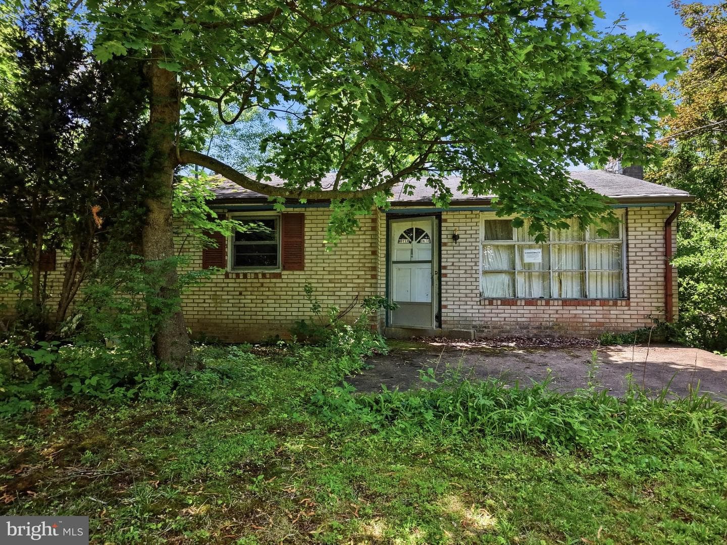 3610 Ridge Road photo 5