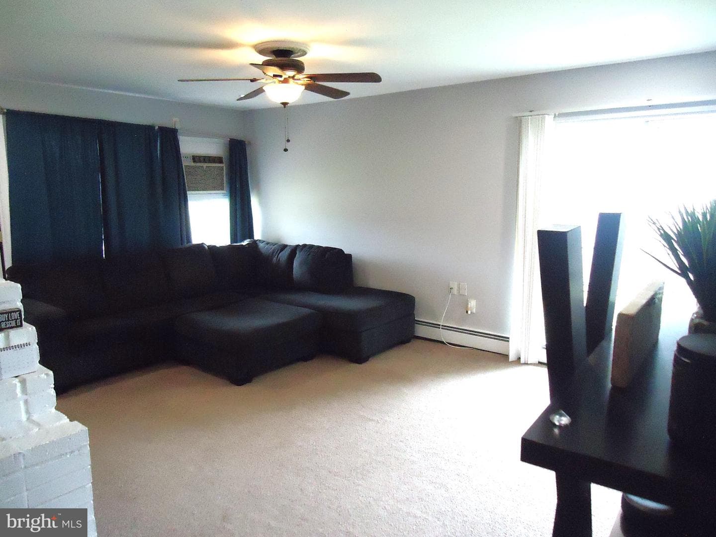 172 Crabtree Drive photo 13