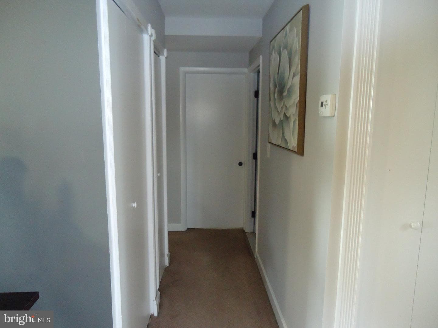 172 Crabtree Drive photo 16