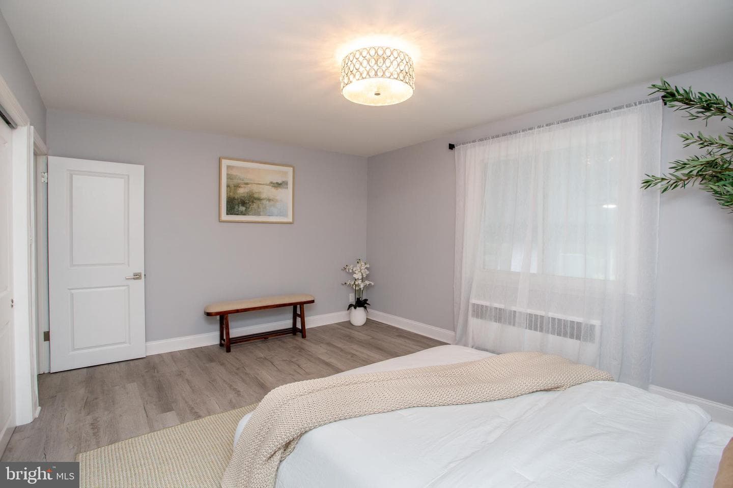 123 Holly Road photo 19
