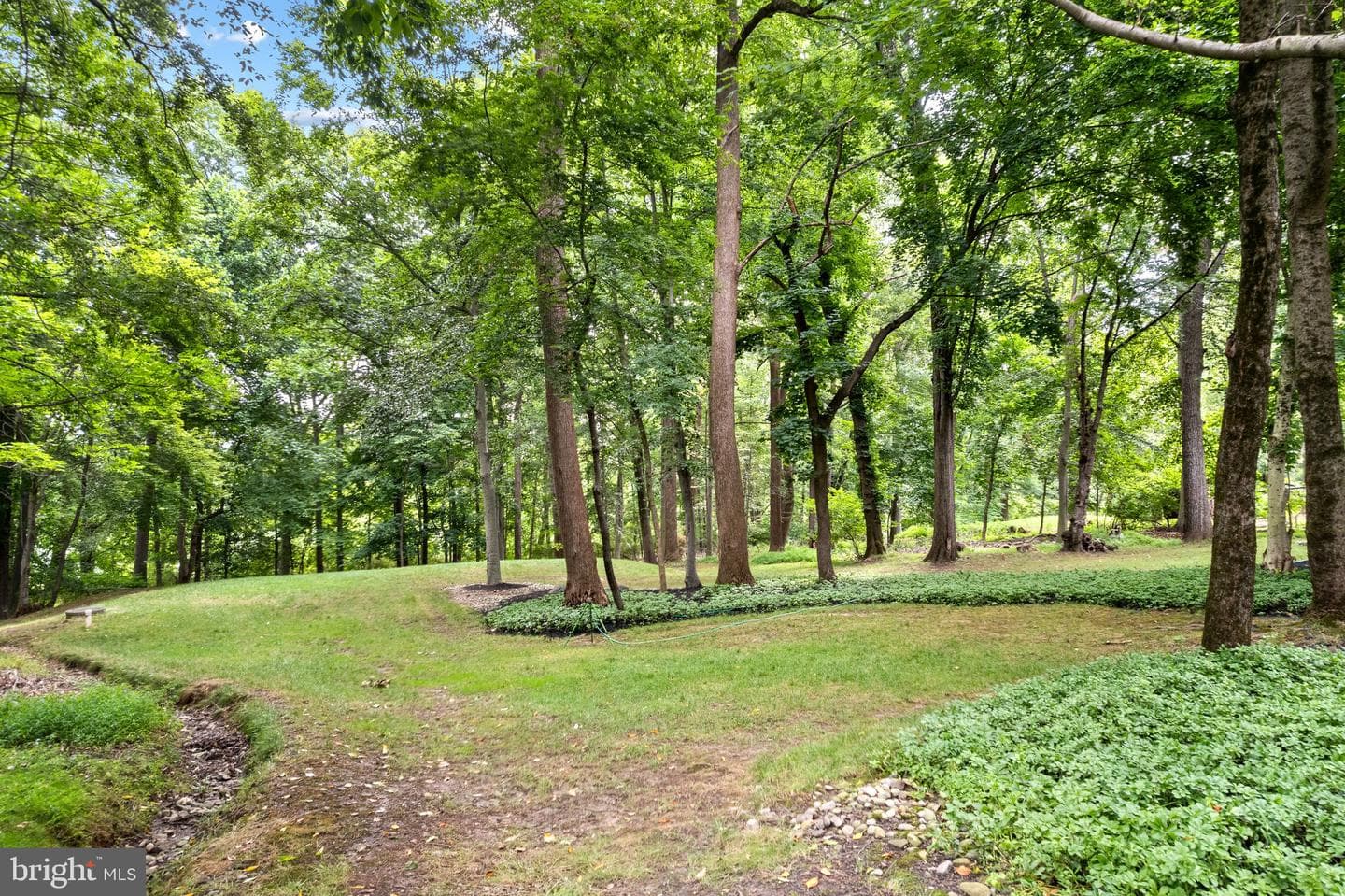 14 Timber Knoll Drive photo 61