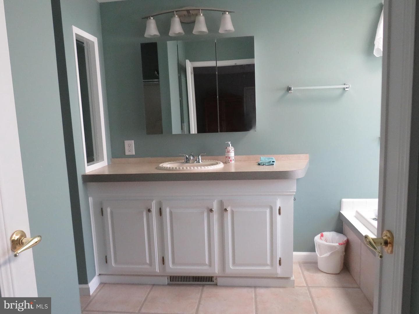 638 Spicebush Court photo 36