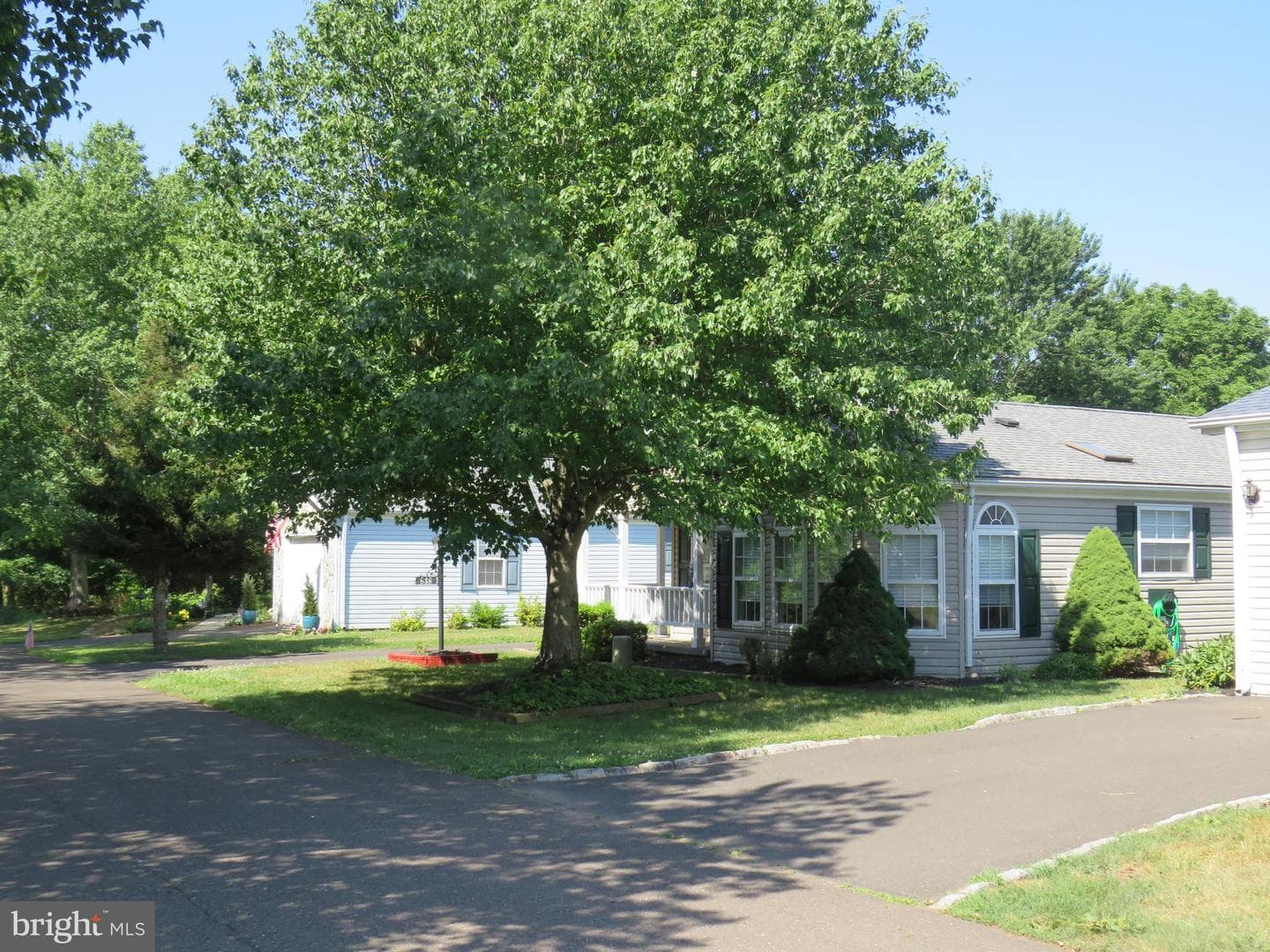 638 Spicebush Court photo 4