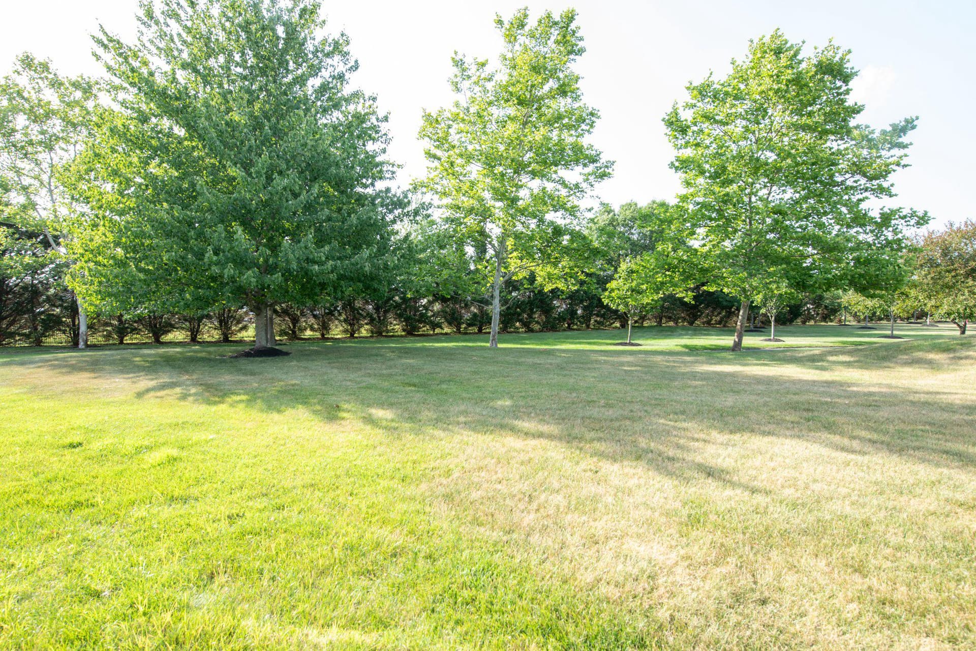 748 S Settlers Circle photo 5