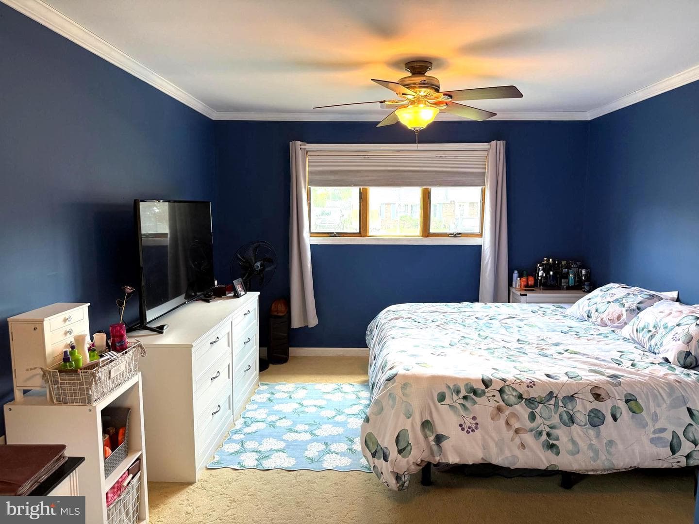 81 Queen Lily Road photo 26