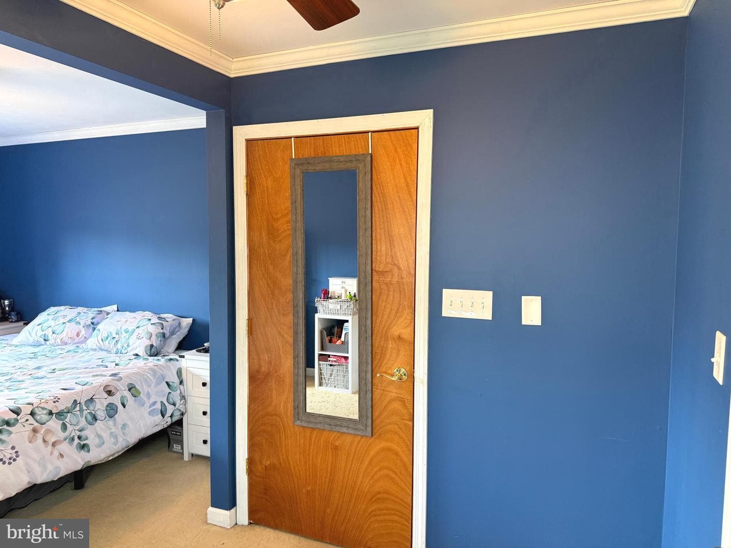 81 Queen Lily Road photo 29