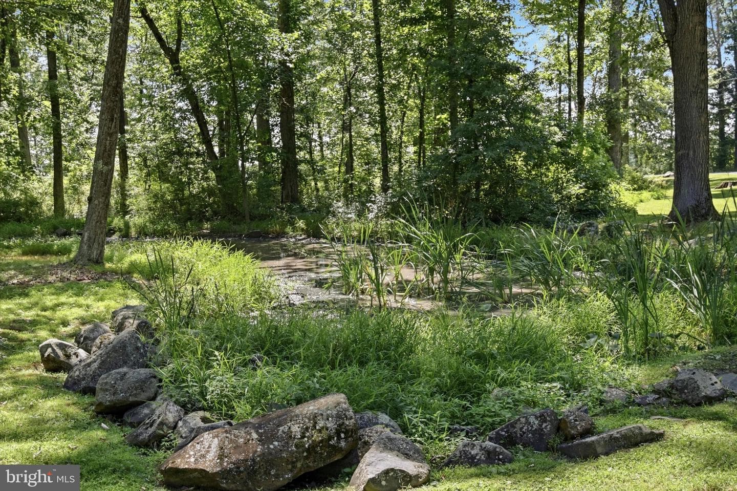 475 Crowthers Road photo 96