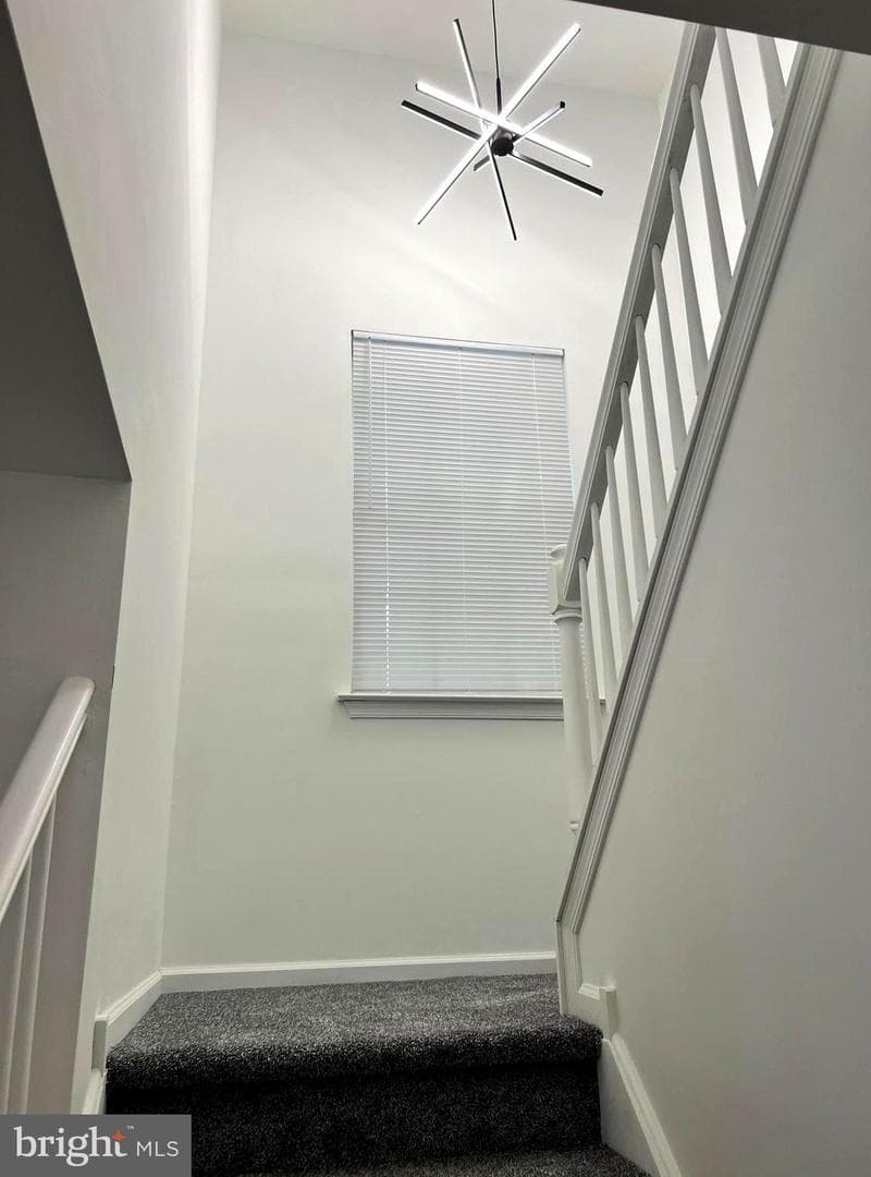 101 Hickory Hollow Circle photo 30