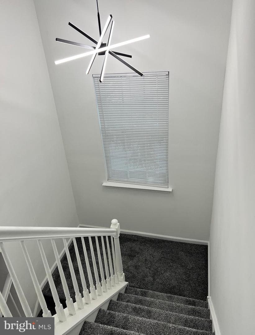 101 Hickory Hollow Circle photo 31