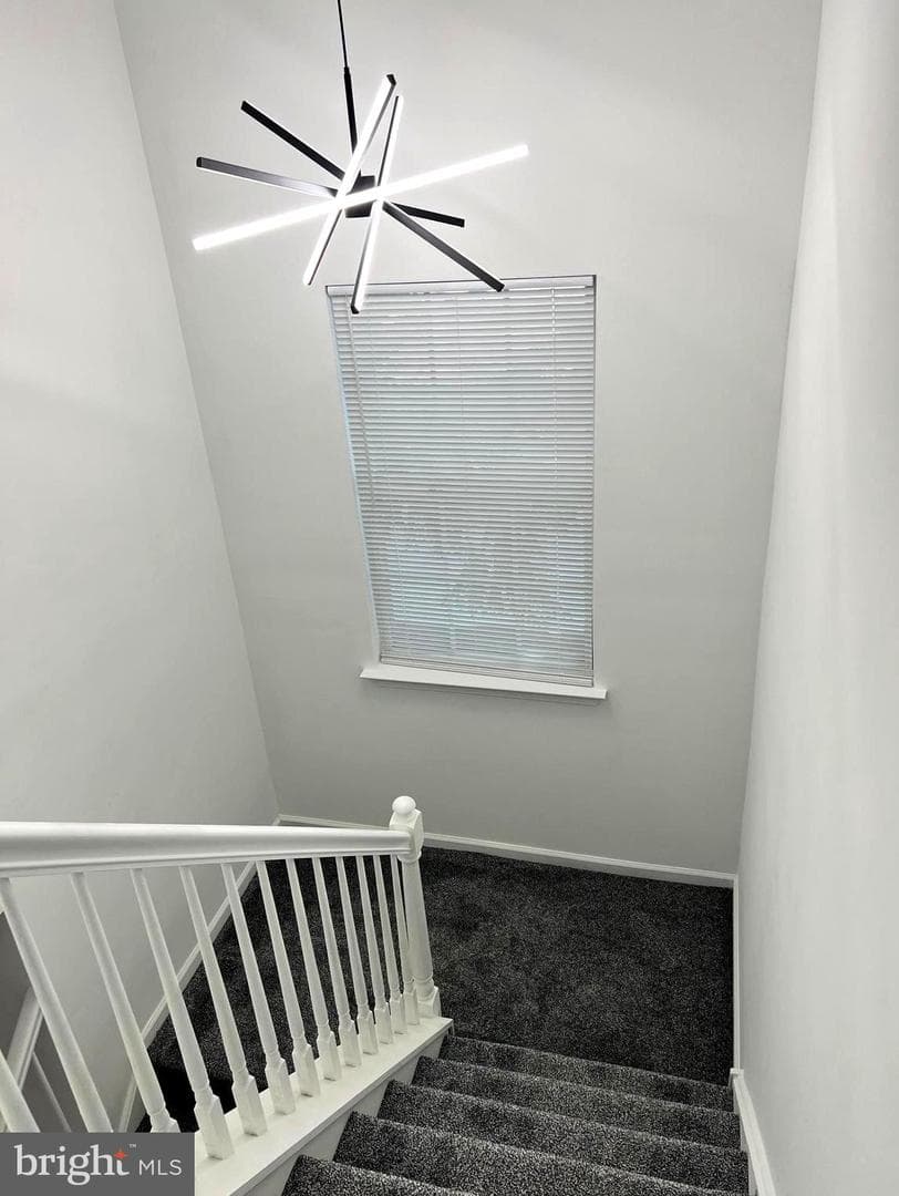 101 Hickory Hollow Circle photo 32