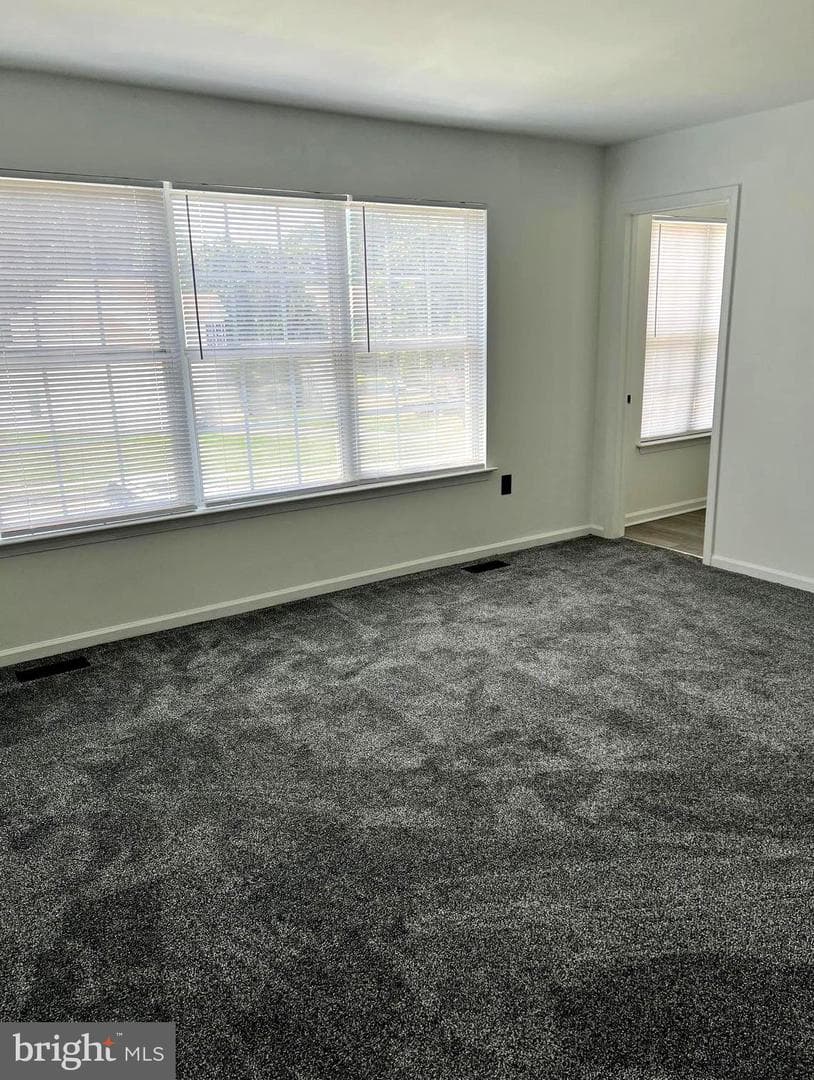 101 Hickory Hollow Circle photo 39