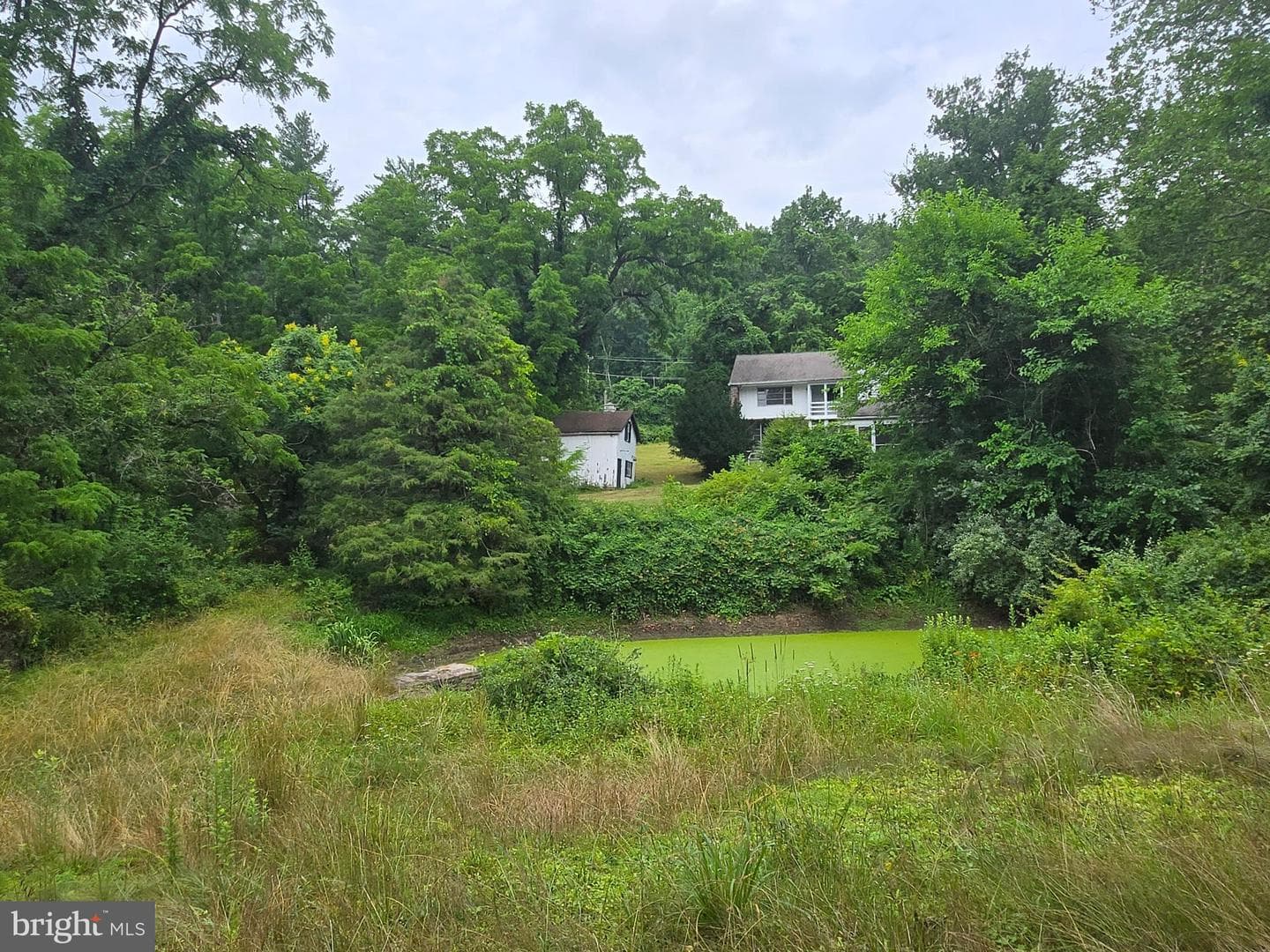 6750 Phillips Mill Road photo 5