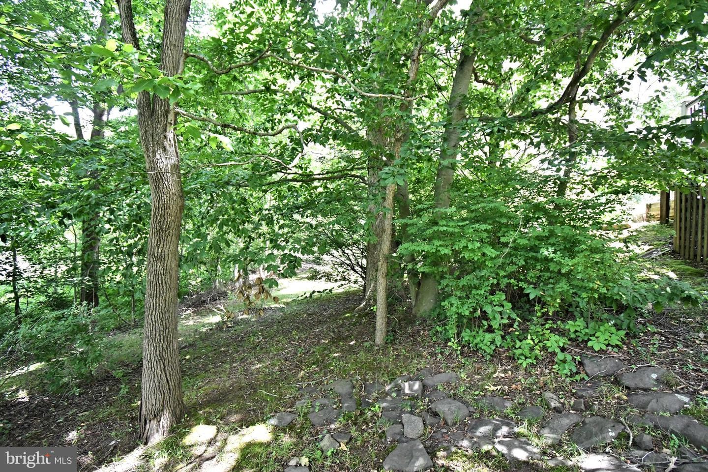 22 Wychwood Lane photo 33
