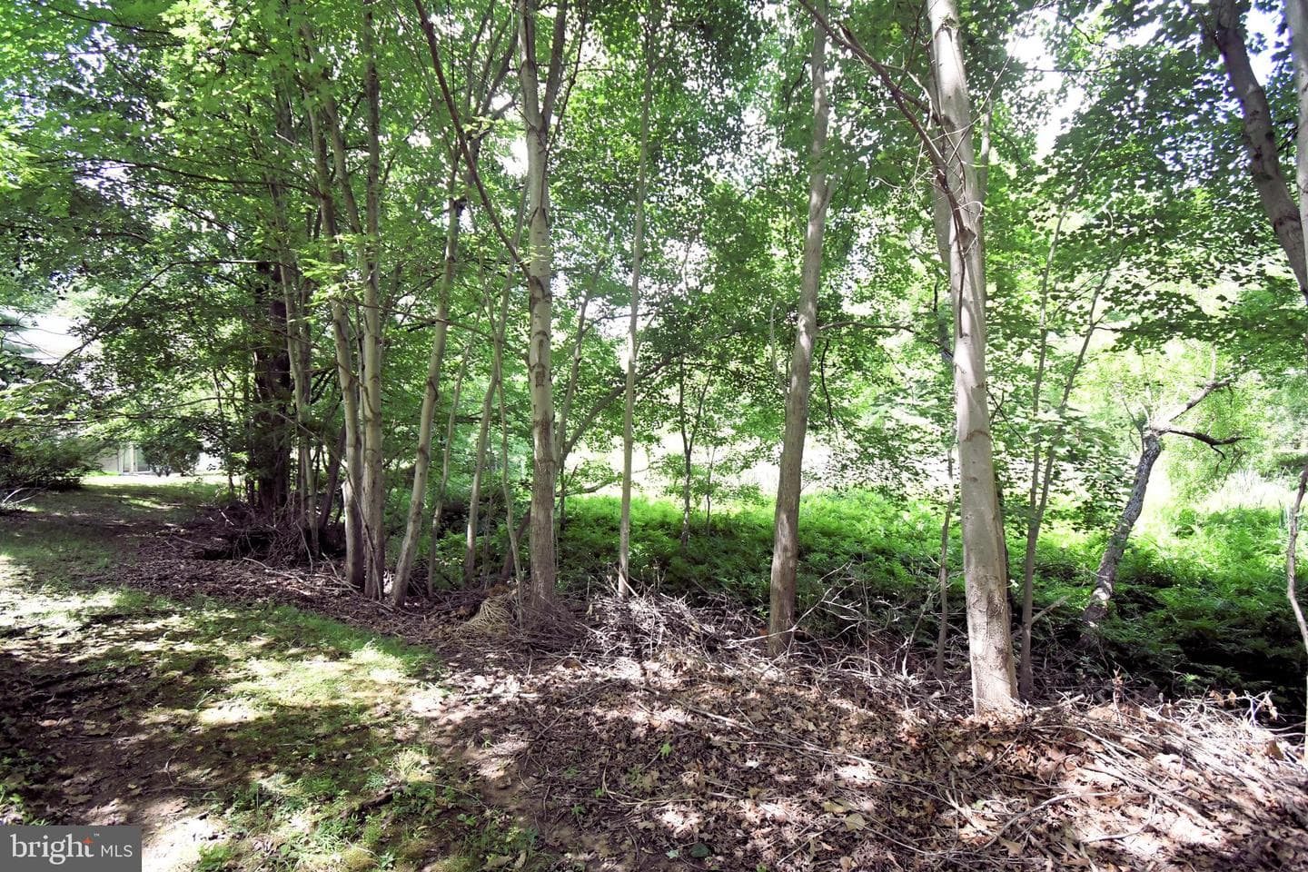 22 Wychwood Lane photo 35