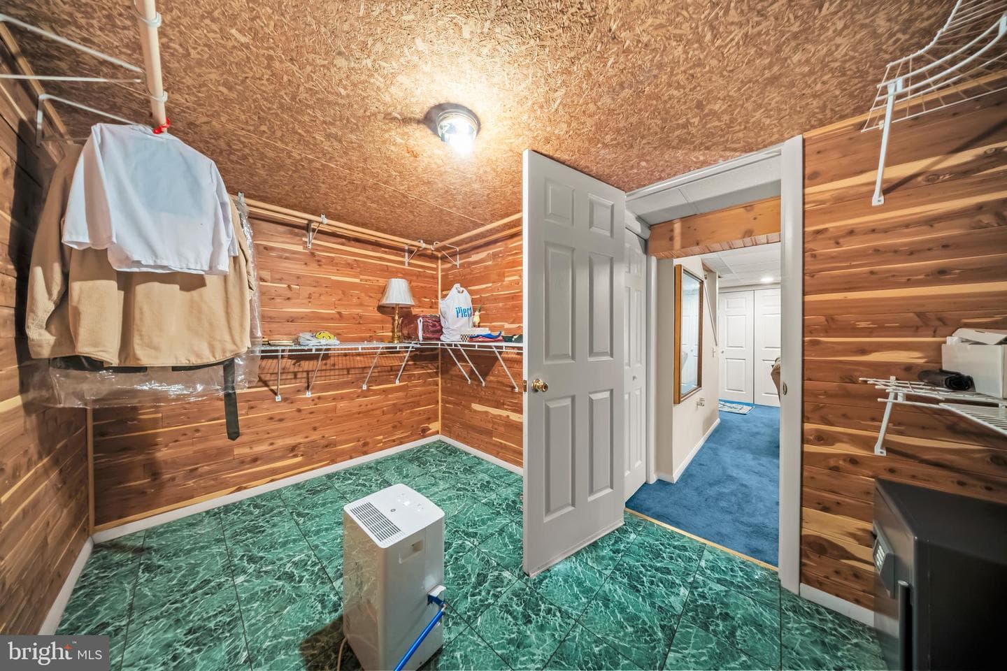 259 Schan Drive photo 37