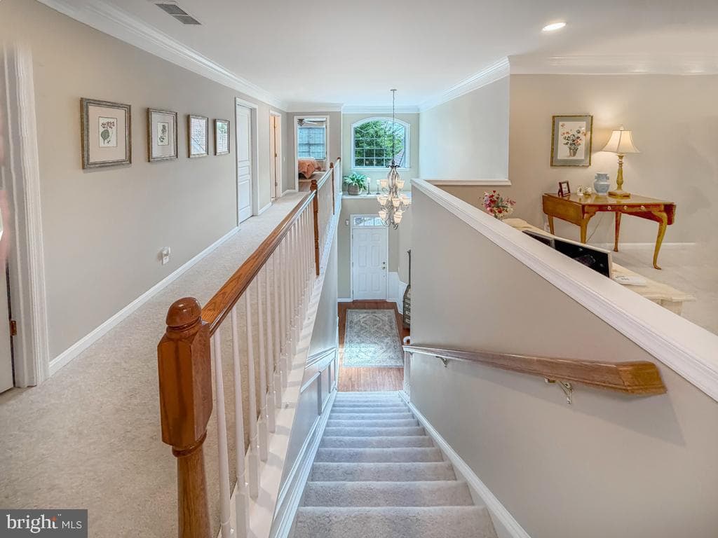 21 Van Artsdalen Drive photo 38