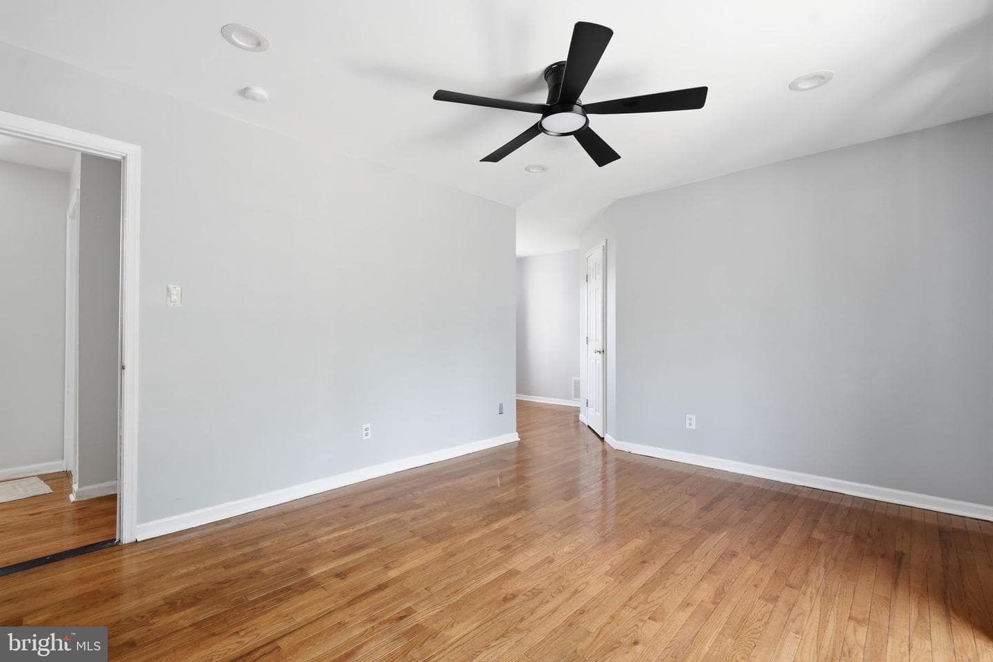 231 Collingswood Road photo 19